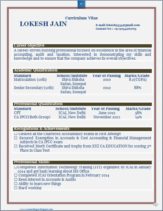 RESUME BLOG CO Excellent Resume - 1 