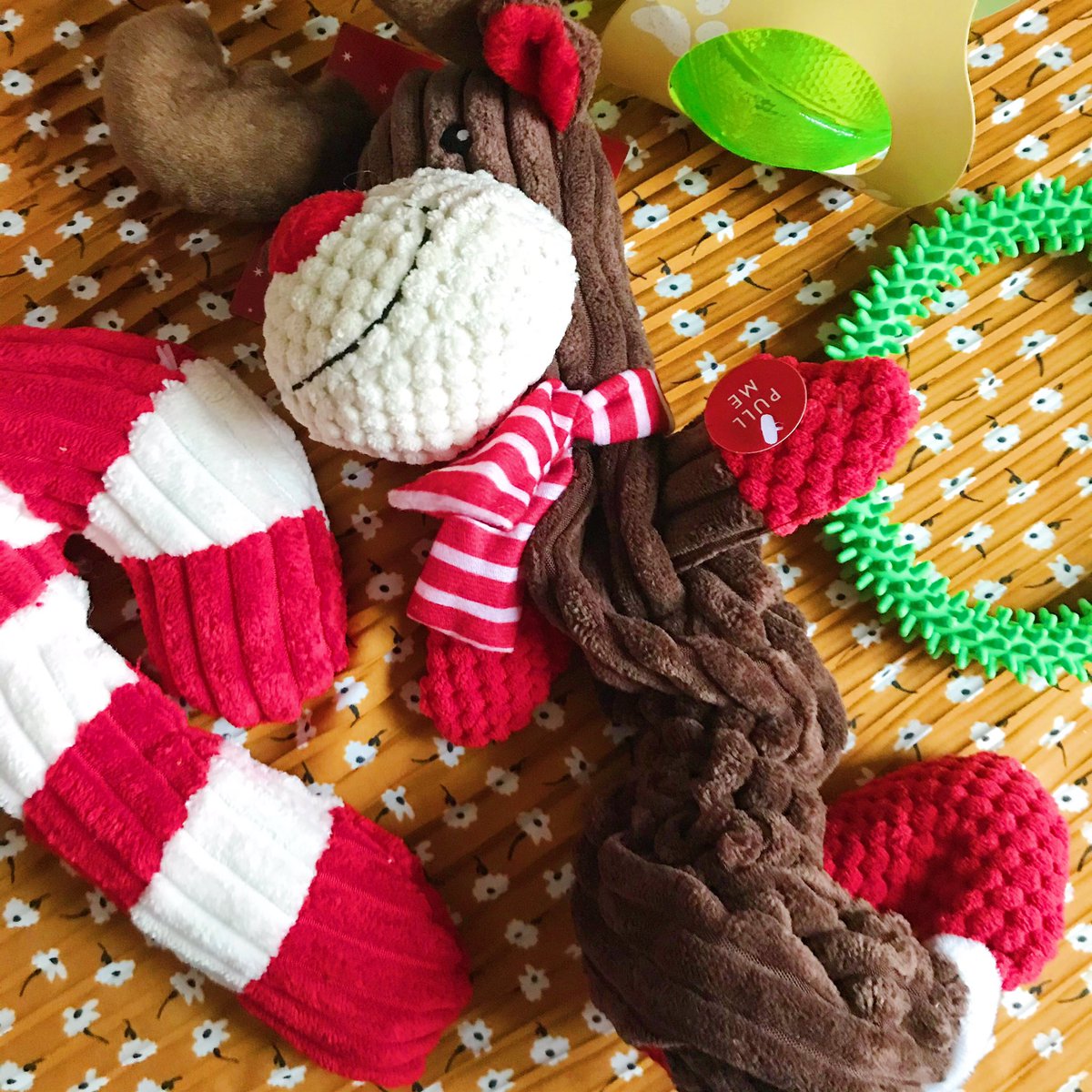 My 2019 Pets Christmas Gift Guide/What I've Bought Bear For His First