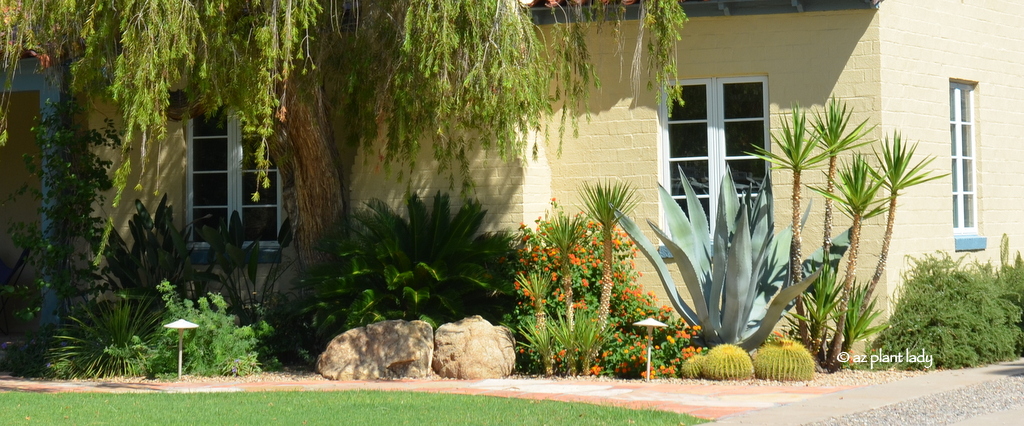 Imparting Grace Using Plants At Home