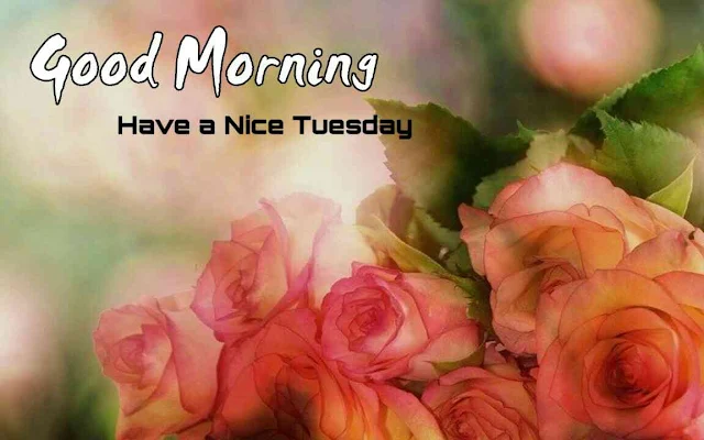 Good Morning Tuesday,Good morning tuesday blessings, have a nice tuesday, have a beautiful tuesday