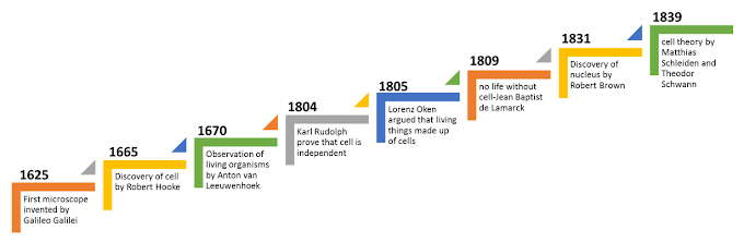 Cell theory 3 parts | Timeline for Cell Theory