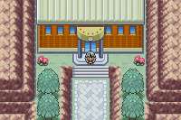 Pokemon Nameless Version screenshot 08