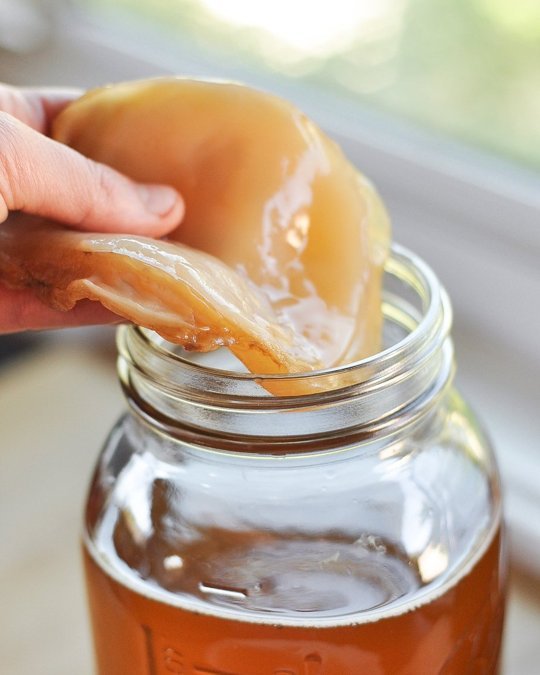 Kombucha On An Empty Stomach: Good Idea Or Gut Wreck? - d24pj24