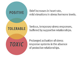 The three types of stress: positive, tolerable, and toxic. Information in the image is explained below