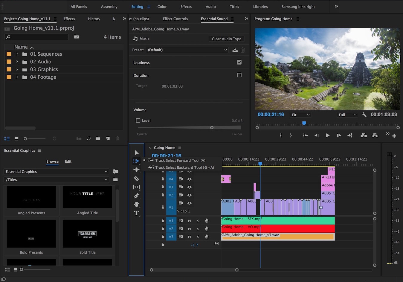 Adobe Premiere Pro 2022 v22.2.0.128 Pre-Activated