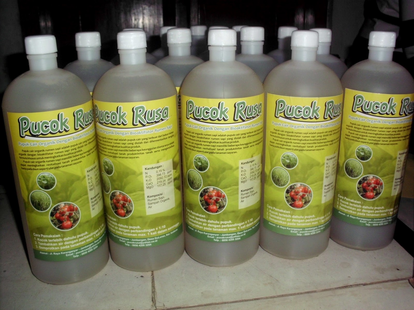 Pucok Rusa (Pupuk Cair Organik dengan Bioaktivator Rumen Sapi)