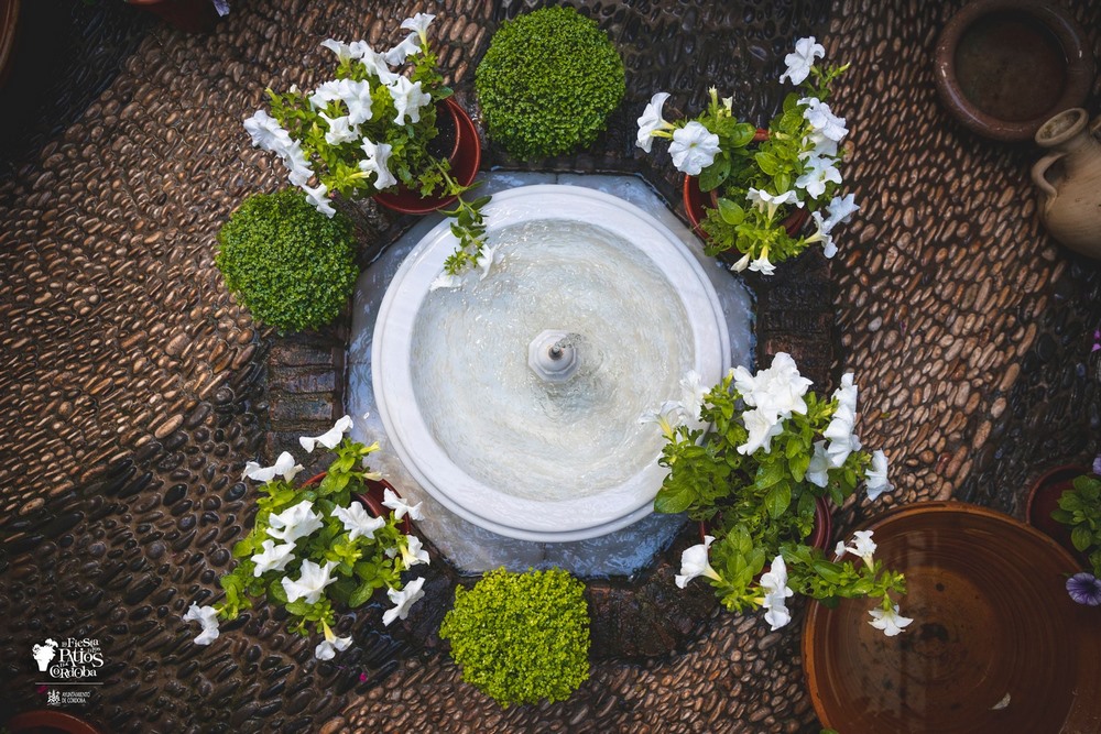 Detalles inspiradores de los Patios de Córdoba para crear nuestro