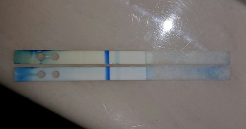 The Inside Of A Negative Clearblue Digital Pregnancy Test the-inside-of-a-negative-clearblue-digital-pregnancy-test