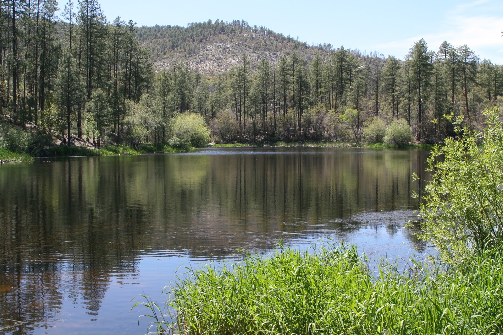 Darren's Rides Crown King Arizona