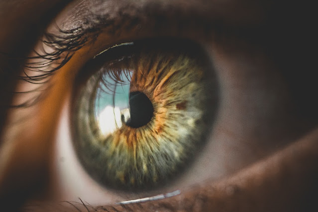 The 5 Most Common Eye Diseases :Overview of Common Eye Diseases