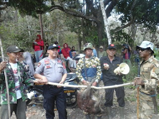 Ikut Berburu Babi, Kanit Sabhara Polsek Libureng Sampaikan Pesan Kamtibmas