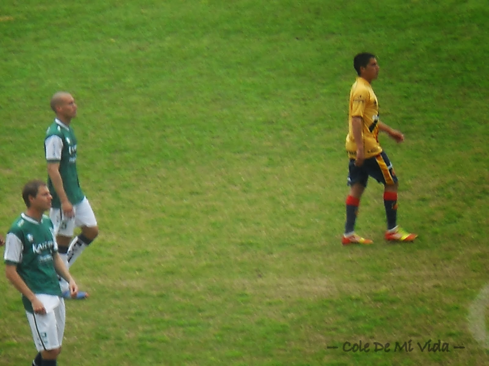 Cole de mi Vida... septiembre 2013