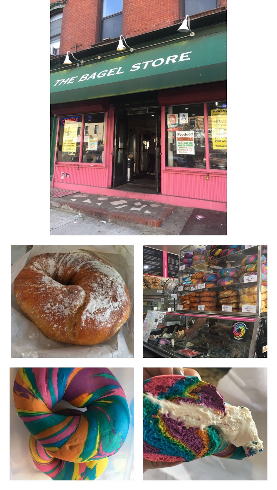 Rainbow Bagel in Brooklyn COFFEE, CAKES & SUITCASES