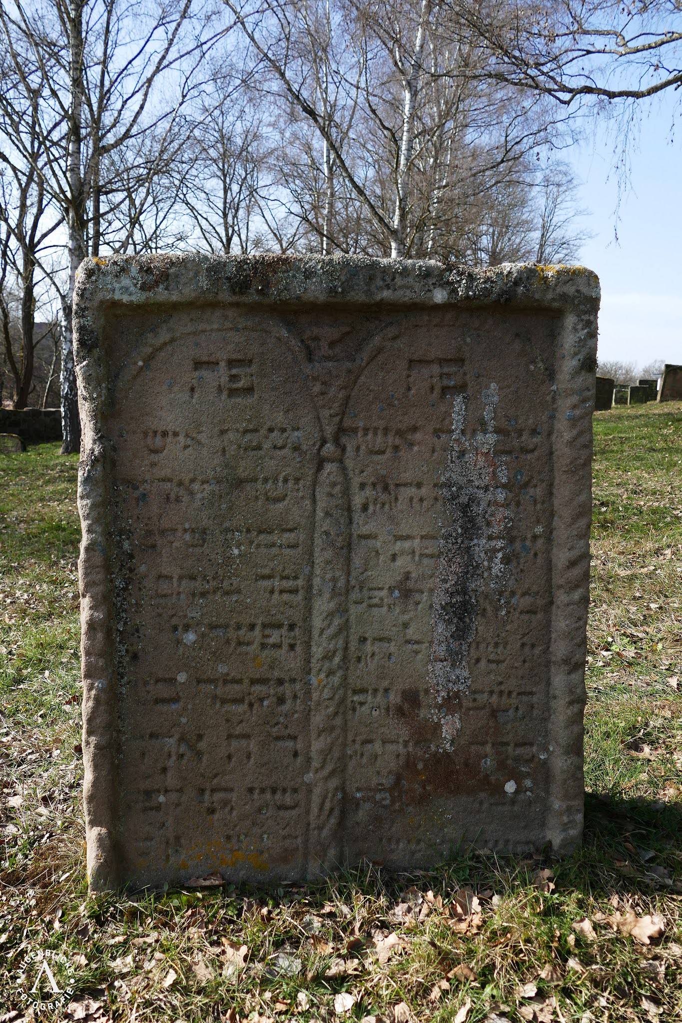 Augenblicke Fotografie Jüdischer Friedhof