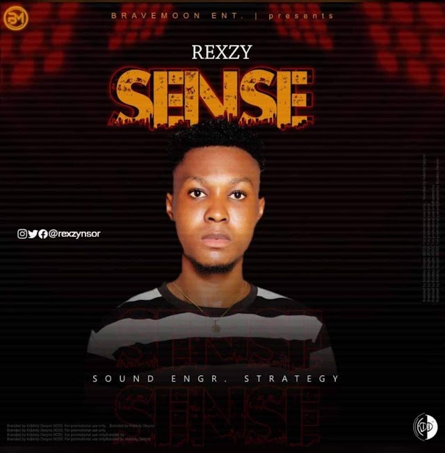  MUSIC + Video: Rexzy - Sense (M/M: Sound of Strategy)