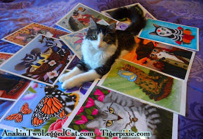 Tigerpixie.com Fantasy Cat Art & Anakin The Two Legged Cat