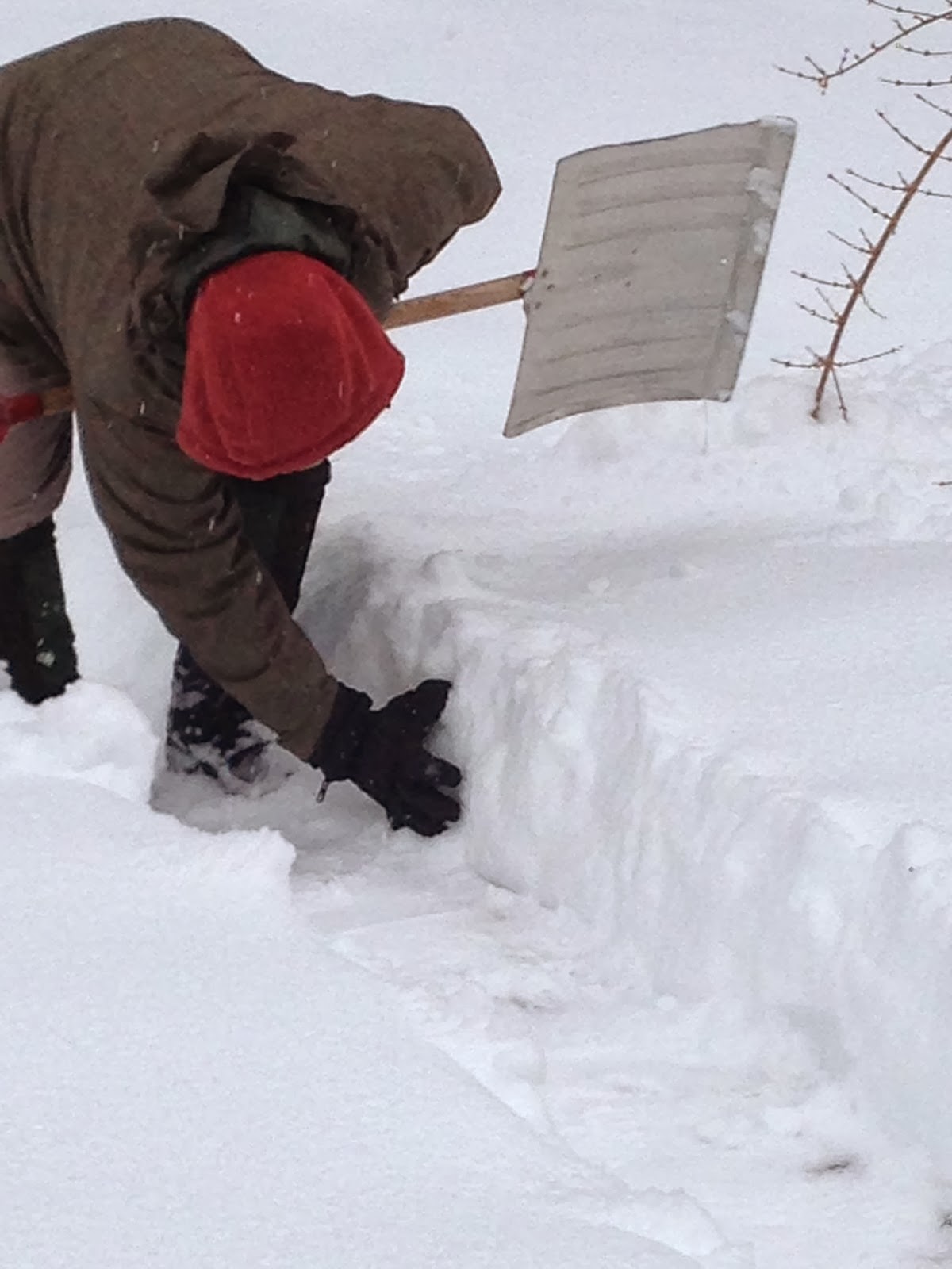 A Life Inspired by Nature February 2014