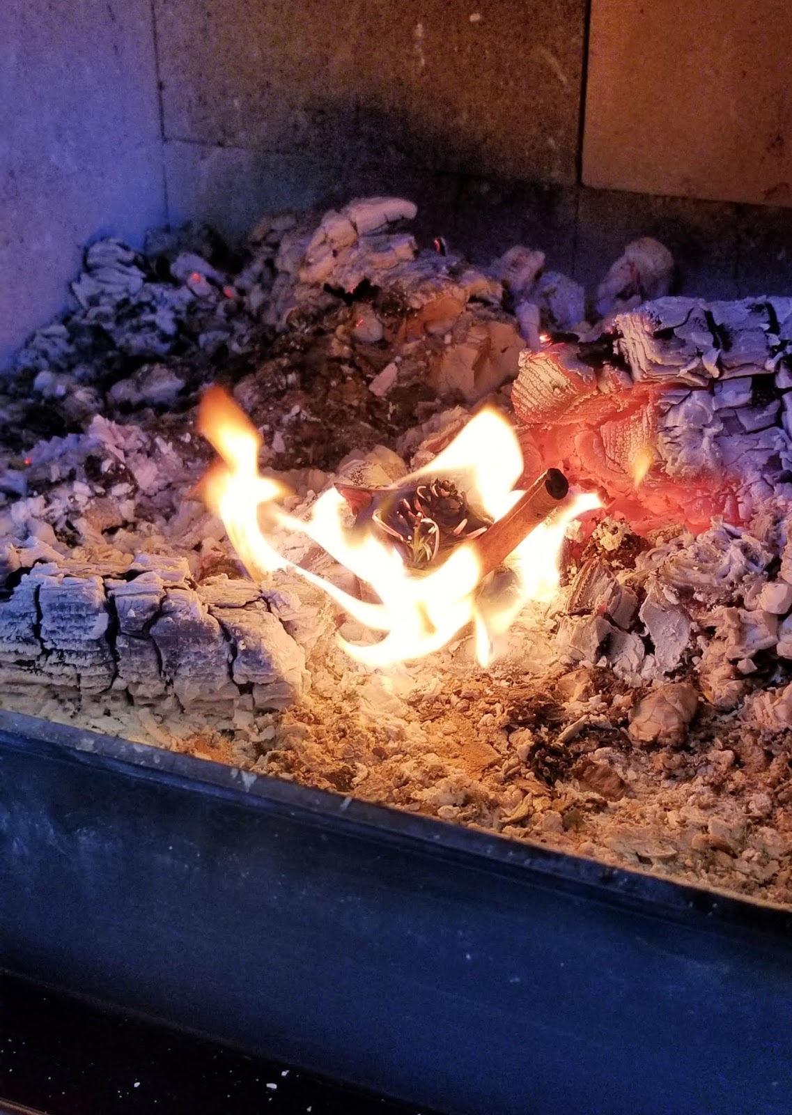 DIY Beeswax Egg Carton Fire Starters Fresh Eggs Daily® with Lisa Steele