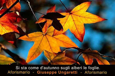 Aforismario Aforismi Frasi E Proverbi Sulle Foglie
