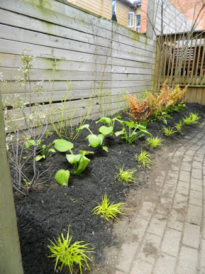 Riverdale New Backyard Garden Makeover After by Paul Jung Gardening Services--a Toronto Gardening Company Riverdale New Backyard Garden Makeover After by Paul Jung Gardening Services--a Toronto Gardening Company