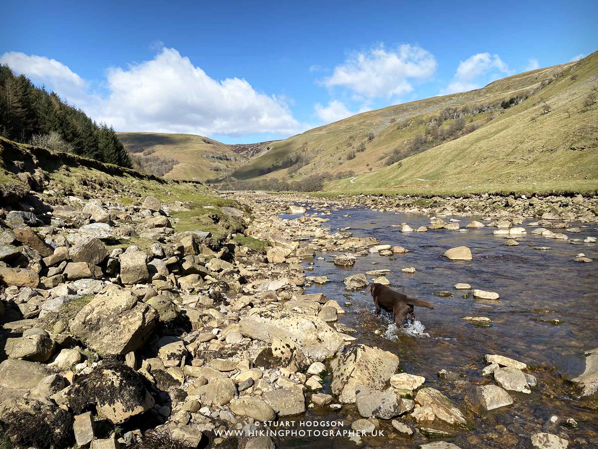 Keld muker walk circular river swaledale yorkshire dales wildflower meadow