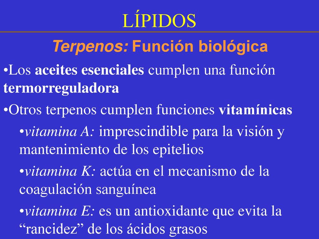 Los 9 mejores consejos con esteroides caseros