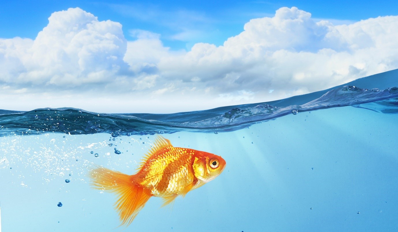 How to Combat the Short Attention Span of the Modern Learner