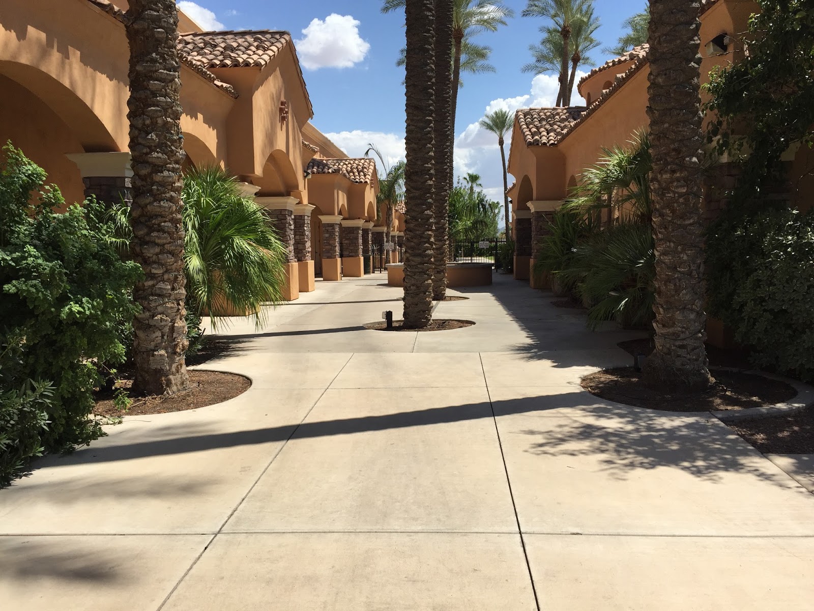 THE MURPHY TRAIL Palm Creek Golf & RV Resort in Casa Grande, Az 718