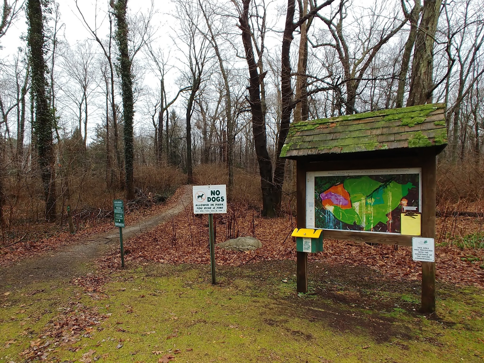 A Mike Who Likes to Hike