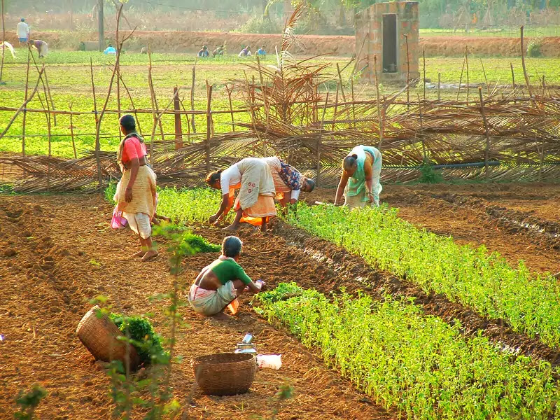 Types of Farming System in India - UPSC