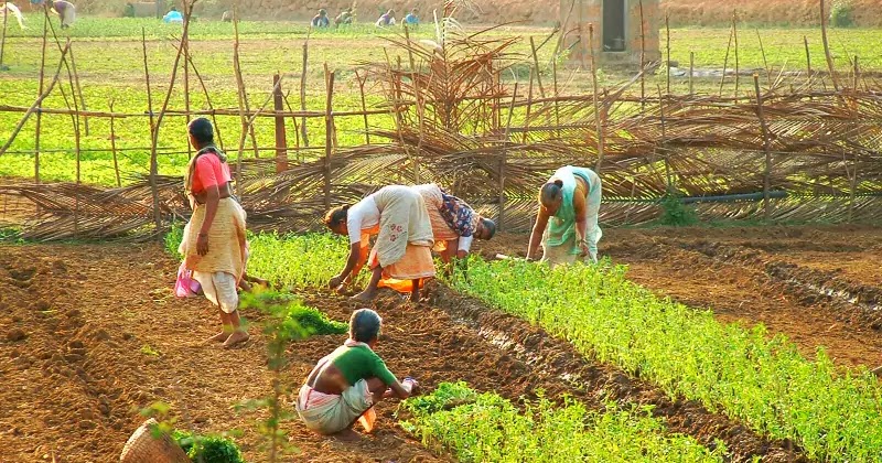 types of farming techniques