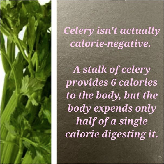 Its Trouble... Celery isn't actually calorienegative. A stalk of