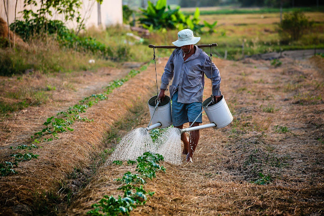 Agricultural Worker
