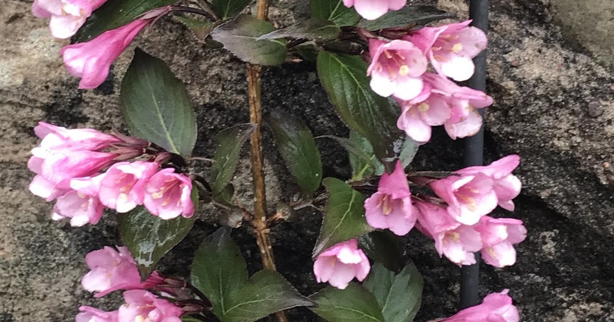 Eternally 28 Blowing a gale