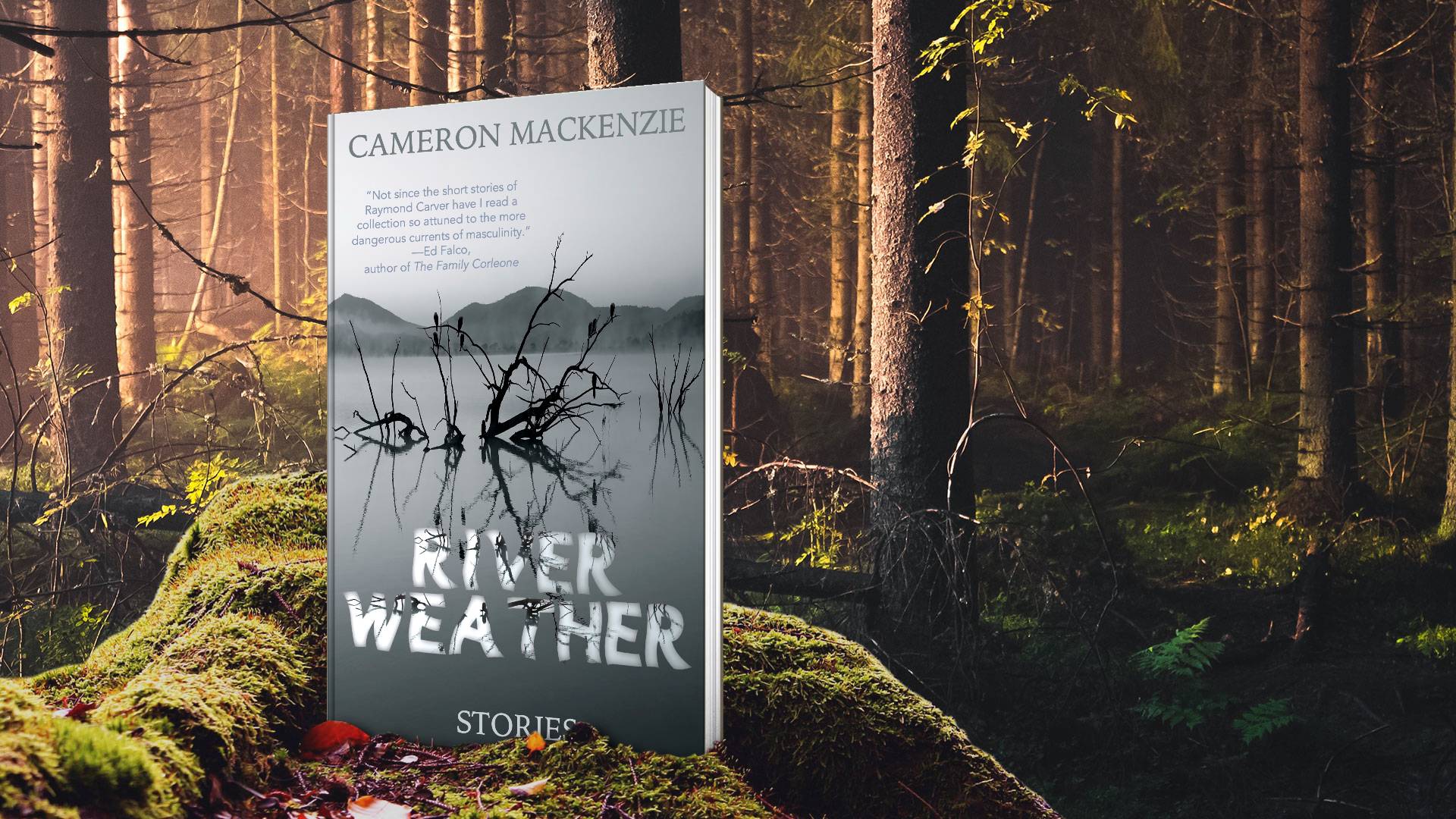 Alternating Current Press River Weather Stories by Cameron MacKenzie