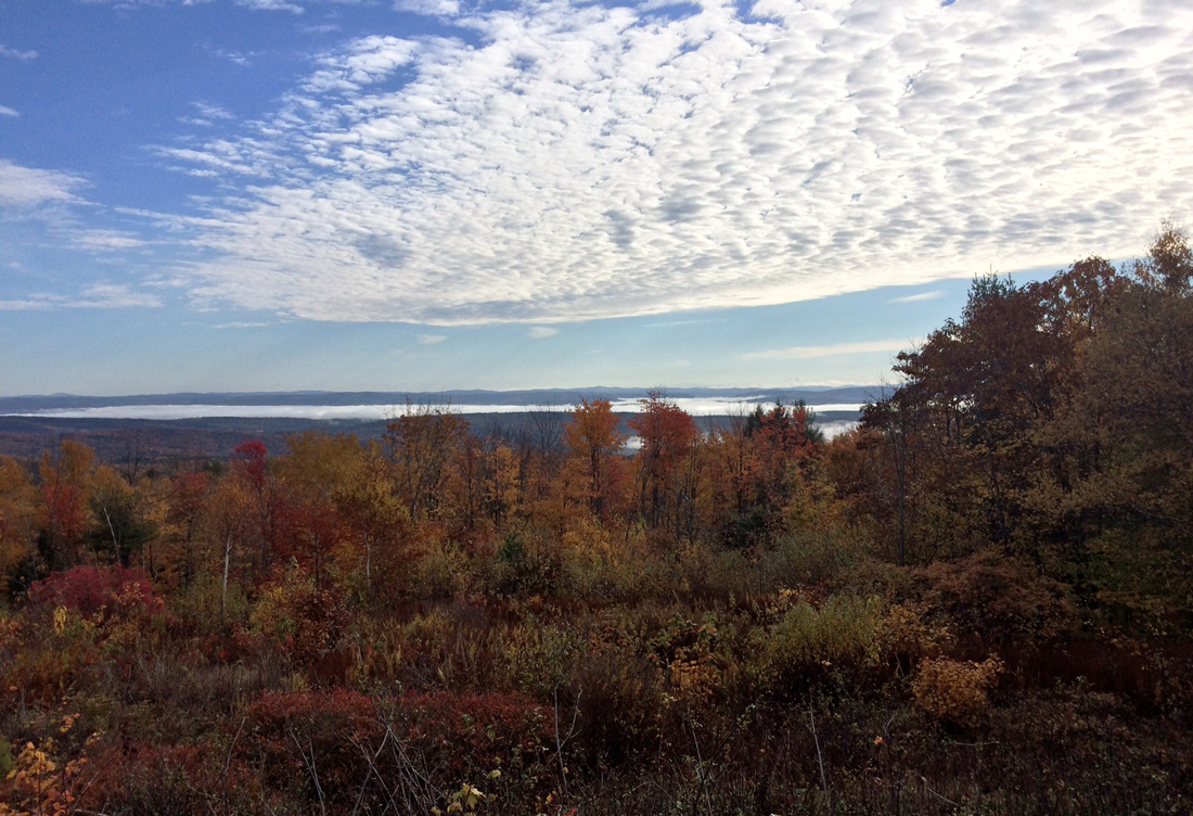 Pioneer Birding VT Putney morning