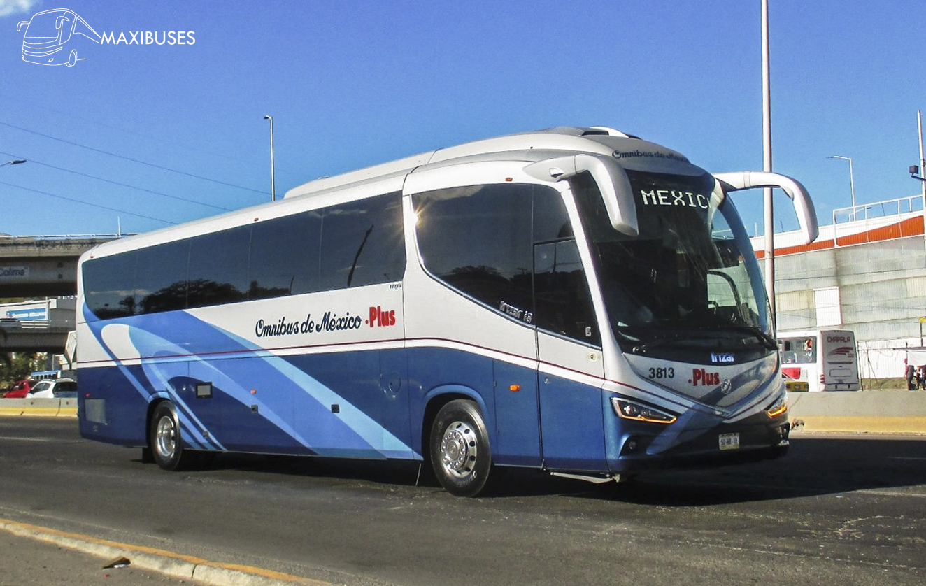MAXIBUSES OMNIBUS DE MÉXICO PLUS MAXIBUSES OMNIBUS DE MÉXICO PLUS