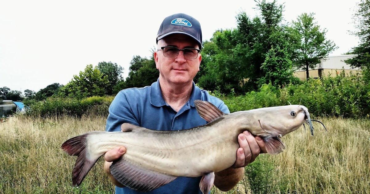 Michigan Carp Fishing Blog Fishing for Catfish Channels, Flatheads and Blues
