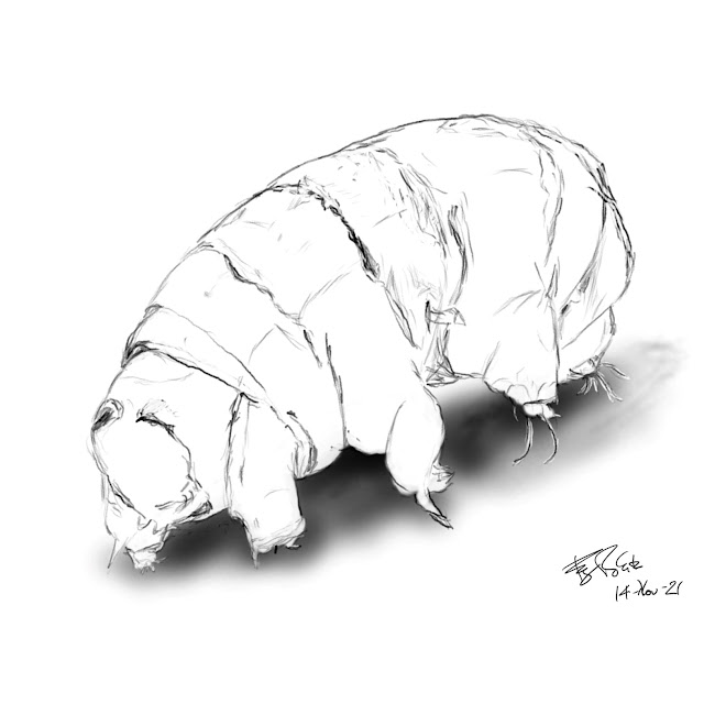 A deliberately unfinished-looking digital pencil sketch of a tardigrade. (If you're unfamiliar with tardigrades, it basically looks like someone took a warthog or a walrus, flattened its face, and made sure it had eight legs that look like they were borrowed from a tortoise. All its limbs end in funny little protruberances or spines and this sketch is so sketchy you have to guess about its little mouth with the tiny protruberances. Apart from its head, the rest of its body is divided into seven segments delineated by deep wrinkles in its flesh.) To add to the cartoonish appearance of this particular rendition, it has some fuzzy shade beneath it but no shading on its body, to make it look like a white cardboard cut-out similar to the humans in in OG era Paddington Bear cartoons. Our particular tardigrade appears to have something interesting protruding from its waist, like a loose belt flap.