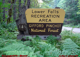 Gifford Pinchot National Forest Lower Falls