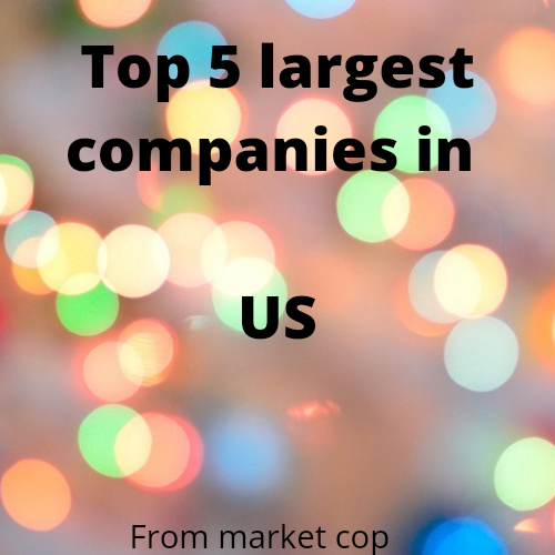 Top 5 largest companies in US
