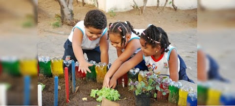 Educação Ambiental em 2020 nas escolas municipais de Patos-PB