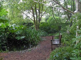 ogród leśny woodland garden oczkow wodne