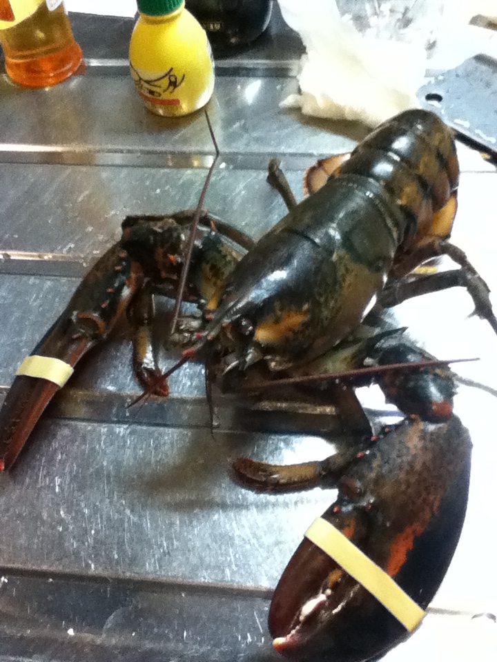 The Tokyo Tiki Room North American Lobster Feast, Japanese Style
