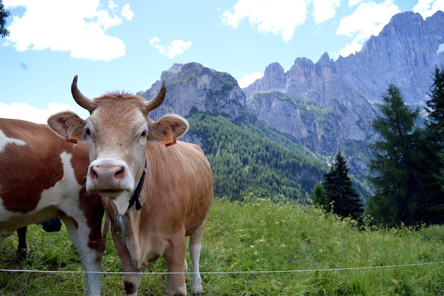 escursioni trekking dolomiti