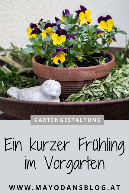 Ein kurzer Frühling im Mayodans Blog