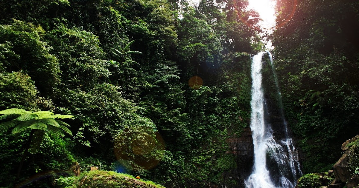 Contoh Makalah Objek Wisata Bali Gitgit Twin Waterfall