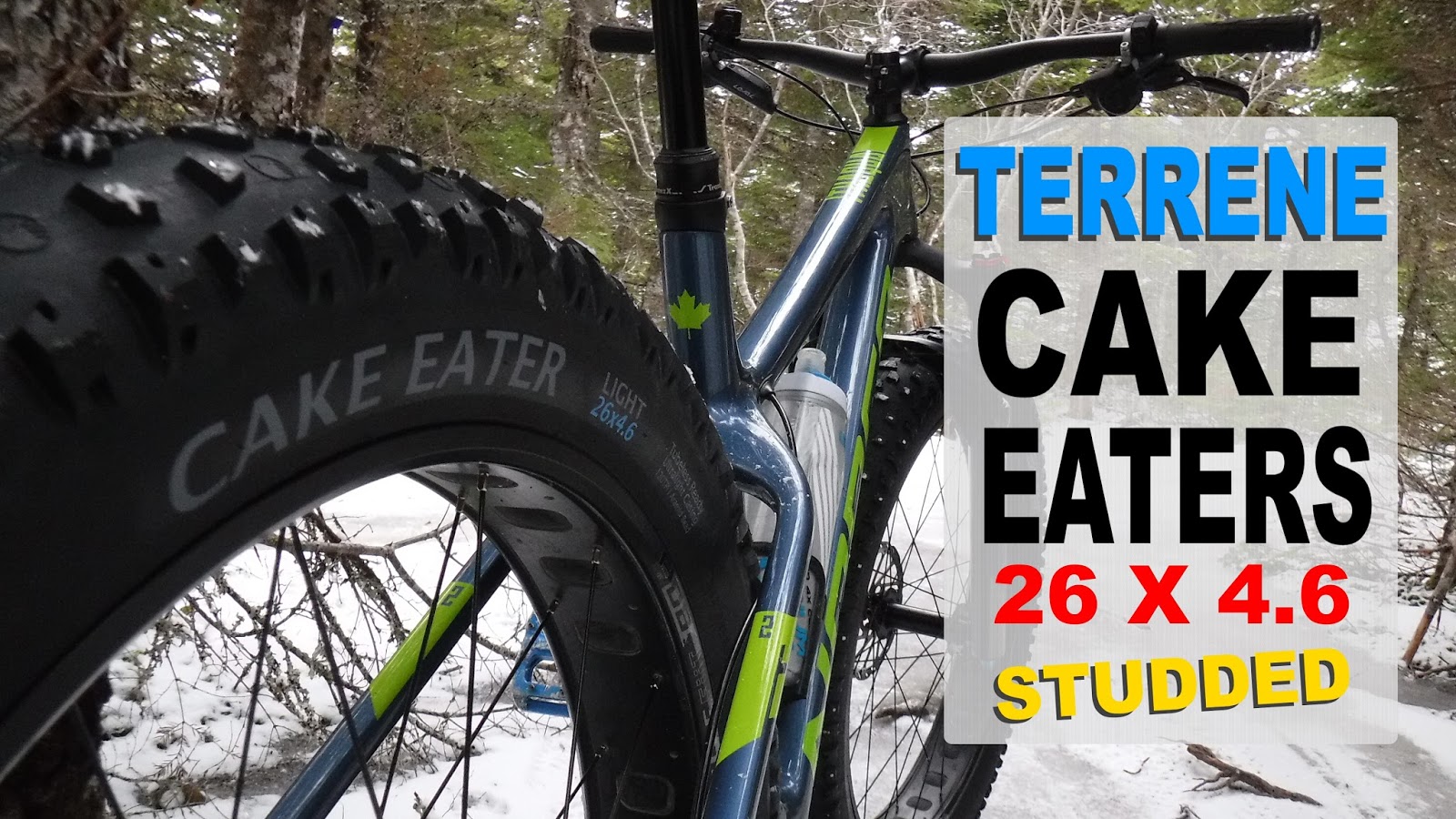 terrene cake eater studded