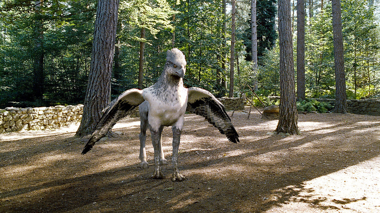 чупакабра козий вампир. существа которые существуют. существа которые существуют. гусеница тихоходка. существа которые существуют.