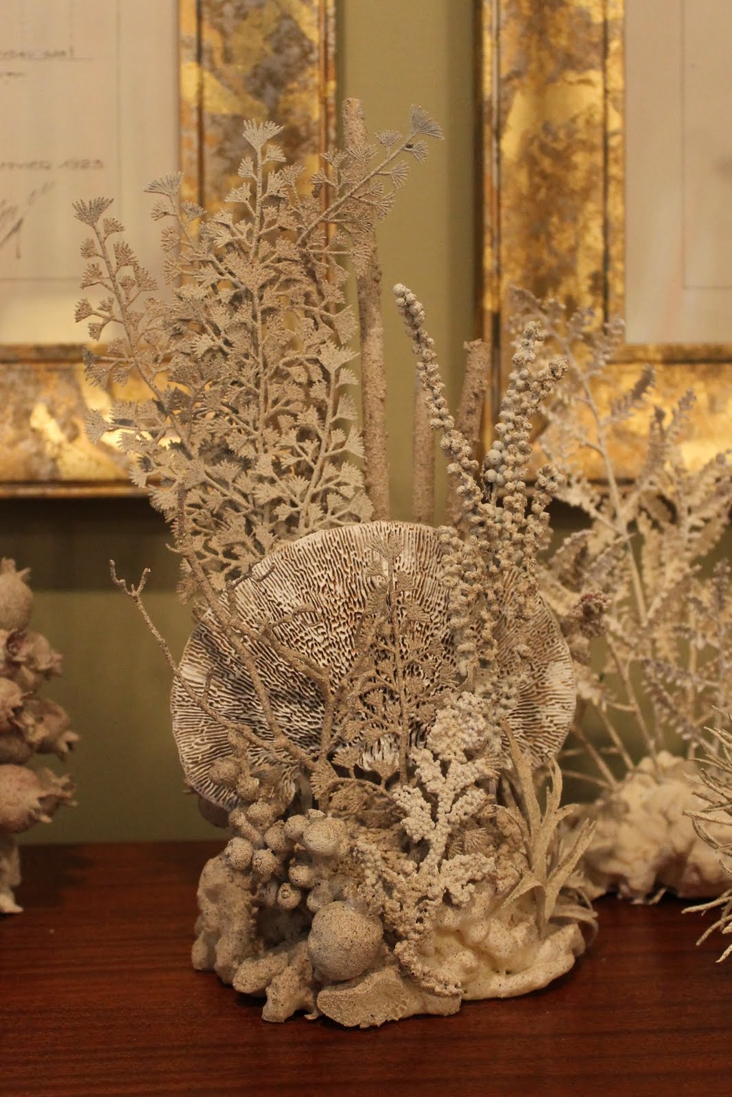 Coral Collection Miss Kopy Kat